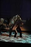 Cavalia-6-8-10-295-DDeRosaPhoto.jpg