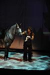 Cavalia-6-8-10-296-DDeRosaPhoto.jpg