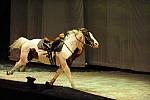 Cavalia-6-8-10-300-DDeRosaPhoto.jpg