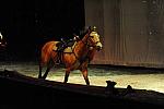 Cavalia-6-8-10-301-DDeRosaPhoto.jpg