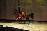 Cavalia-6-8-10-325-DDeRosaPhoto.jpg