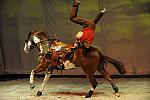Cavalia-6-8-10-328-DDeRosaPhoto.jpg