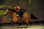 Cavalia-6-8-10-329-DDeRosaPhoto.jpg