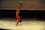 Cavalia-6-8-10-335-DDeRosaPhoto.jpg