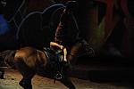 Cavalia-6-8-10-358-DDeRosaPhoto.jpg