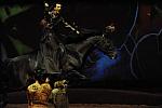 Cavalia-6-8-10-367-DDeRosaPhoto.jpg