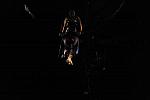 Cavalia-6-8-10-381-DDeRosaPhoto.jpg