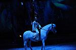 Cavalia-6-8-10-406-DDeRosaPhoto.jpg