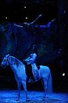 Cavalia-6-8-10-407-DDeRosaPhoto.jpg