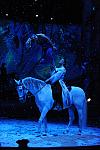 Cavalia-6-8-10-412-DDeRosaPhoto.jpg