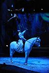 Cavalia-6-8-10-413-DDeRosaPhoto.jpg