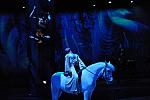 Cavalia-6-8-10-417-DDeRosaPhoto.jpg