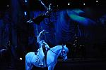 Cavalia-6-8-10-418-DDeRosaPhoto.jpg