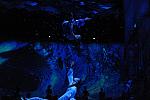 Cavalia-6-8-10-419-DDeRosaPhoto.jpg