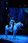 Cavalia-6-8-10-421-DDeRosaPhoto.jpg