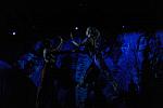 Cavalia-6-8-10-424-DDeRosaPhoto.jpg