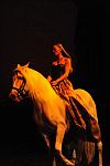 Cavalia-6-8-10-430-DDeRosaPhoto.jpg