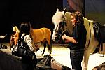Cavalia-6-8-10-486-DDeRosaPhoto.jpg