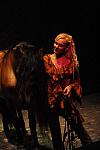 Cavalia-6-8-10-496-DDeRosaPhoto.jpg