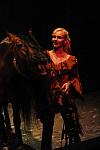 Cavalia-6-8-10-497-DDeRosaPhoto.jpg