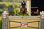 NHS-LonginesWC-11-1-15-3326-OlivierPhilippaerts-H&MChallengeVDBegijnakkerZ-DDeRosaPhoto