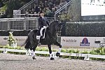 CPHS-Dressage-9-20-14-3517-SteffenPeters-Ravel-USA-DDeRosaPhoto