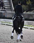 CPHS-Dressage-9-20-14-3520-SteffenPeters-Ravel-USA-DDeRosaPhoto