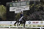 CPHS-Dressage-9-20-14-3903-HansPeterMinderhoud-Glock'sFlirt-NED-DDeRosaPhoto