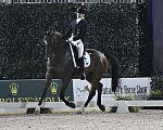 CPHS-Dressage-9-20-14-4007-DDeRosaPhoto