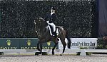 CPHS-Dressage-9-20-14-4008-IsabellWerth-DDeRosaPhoto