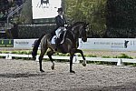 CPHS-Dressage-9-20-14-4013-IsabellWerth-DDeRosaPhoto