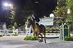 CPHS-GP-9-18-14-1449-KirstenCoe-Baronez-USA-DDeRosaPhoto