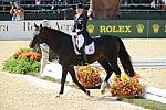 WEG1-9-28-10-DressageGP-6288-TinaKonyot-Calesto-DDeRosaPhoto