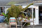 Devon-5-29-14-6100-DDeRosaPhoto
