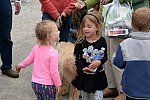 Devon-5-29-14-6221-DDeRosaPhoto