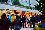 Devon-5-29-14-7205-DDeRosaPhoto