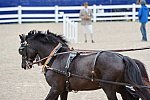 Devon-Coaching-5-29-14-6822-TuckerJohnson-JohnsonBrewster-DDeRosaPhoto