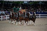 Devon-5-29-14-7115-DDeRosaPhoto