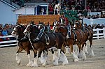 Devon-5-29-14-7140-DDeRosaPhoto