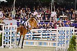 Devon-GP-5-29-14-7757-MollyAshe-Cawley-Carissimo-DDeRosaPhoto