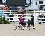 Devon-Saddlebreds-5-29-14-6504-DDeRosaPhoto