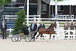 Devon-Saddlebreds-5-29-14-6505-DDeRosaPhoto