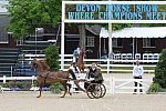 Devon-Saddlebreds-5-29-14-6521-DDeRosaPhoto