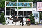 Devon-Saddlebreds-5-29-14-6524-DDeRosaPhoto