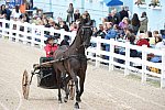 Devon-Saddlebreds-5-29-14-6525-DDeRosaPhoto