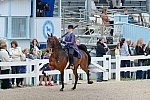 Devon-Saddlebreds-5-29-14-6551-DDeRosaPhoto