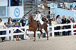 Devon-Saddlebreds-5-29-14-6552-DDeRosaPhoto