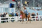 Devon-Saddlebreds-5-29-14-6579-DDeRosaPhoto