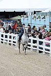 Devon-Saddlebreds-5-29-14-6585-DDeRosaPhoto