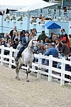 Devon-Saddlebreds-5-29-14-6588-DDeRosaPhoto